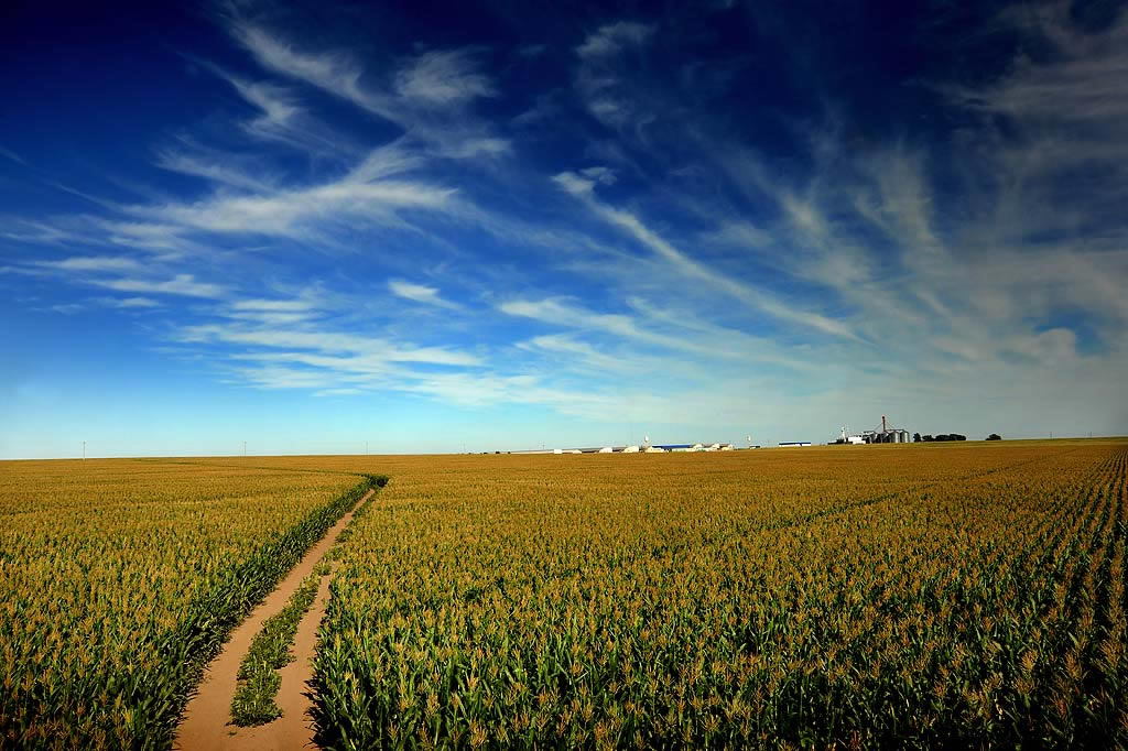 full screen background image